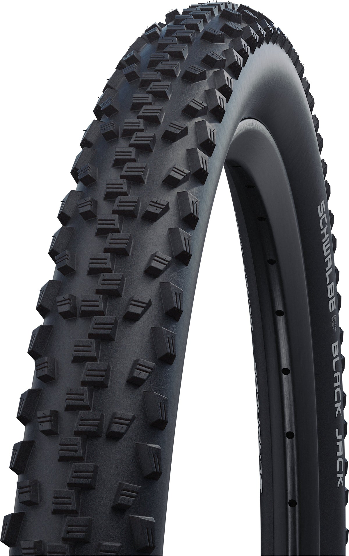 Schwalbe Black Jack Drahtreifen 20x1.90" Active K-Guard SBC