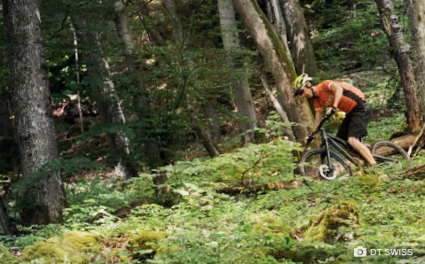 DT SWISS - Kategorie-Header