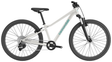 Cannondale Kids Trail 26 Cashmere (2027)