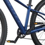 Scott Scale 600 clematis blue (2026)