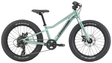 Cannondale Kids Trail Plus 20 Cactus Green (2027)