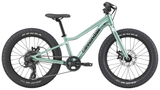 Cannondale Kids Trail Plus 20 Cactus Green (2027)